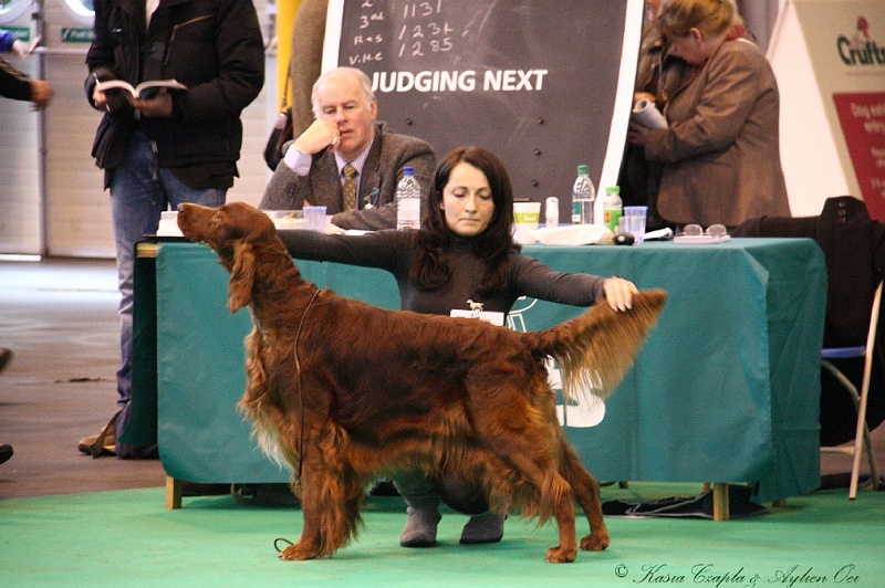 Crufts2011 848.jpg